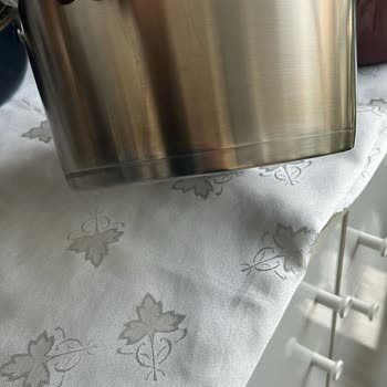 Fissler Vitavit Premium Rusted and Discolored After First Use