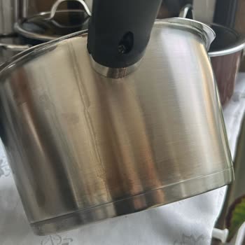 Fissler Vitavit Premium Rusted and Discolored After First Use