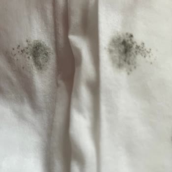 Papilion Satıcı Şikayeti