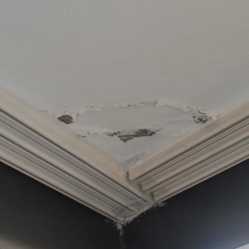 Cam Balkon Yağmurda Su Kaçırıyor, Montaj Firması Çözüm Sunmuyor