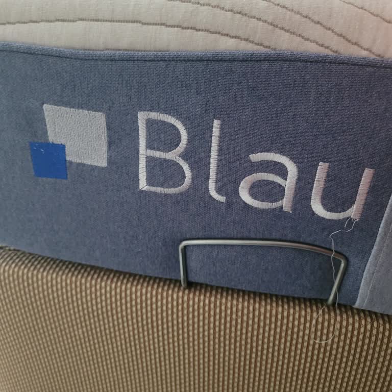 Yatsan Blau Hybrid Yatağında Sürekli Bel Ağrısı