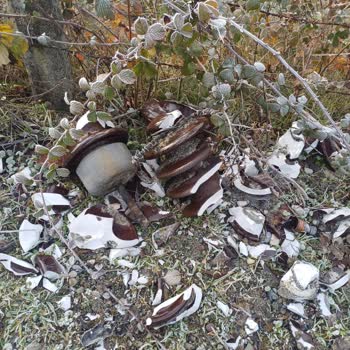 Başkent Elektrik’in Yağmurca Köyünde Atık Bırakma Ve Temizlik İhmaline Karşı Şikayet