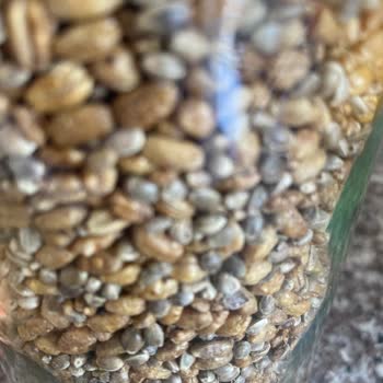 Yanlış Ve Bayat Ürün Gönderimi, İade Ve Değişim Talebi