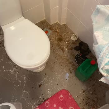 Acil Tuvalet Sorununda 3 Gün Gecikmeye Karşı Unico Sigorta’nın İhmali