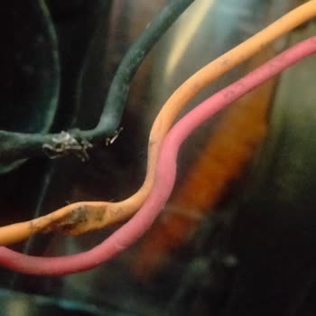 Philips Başlık Arızası Kısa Süreli Dayanıksızlık Ve Garanti Sonrası Çözüm Talebi