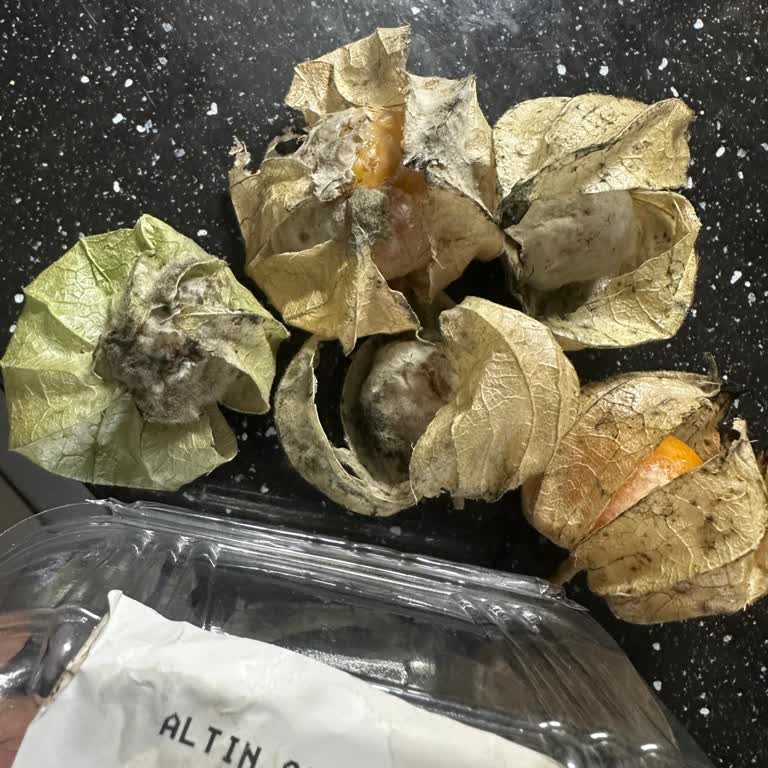 Macro Online’da Küflü Altın Çilek Ürünü İçin İade Talebi