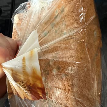 Son Tüketim Tarihi Olmayan Ekşi Maya Ekmekte Küflenme