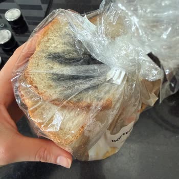 Son Tüketim Tarihi Olmayan Ekşi Maya Ekmekte Küflenme