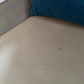 Kirli Oda Ve Arızalı Cihazlar, Bebekli Aileler İçin Havuzda Erişim Ve Hijyen Sorunları