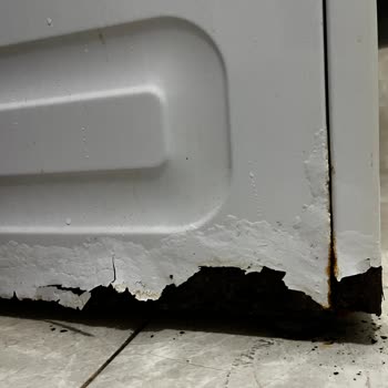 Arçelik'ten Kısa Sürede Çürüme Ve Paslanma Şikayeti Ücretsiz Kasa Değişimi Talebi