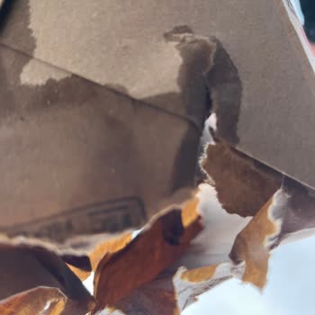 Popeyes Poşet Kalitesizliği Nedeniyle Popy Menü Çöpe Gitti