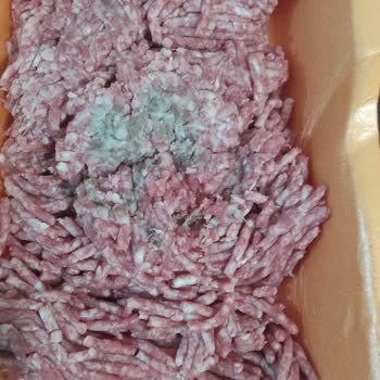 Kıyma Küflü Çıktı, Ramazan’da Güvenilen Kasapta Gıda Güvenliği Sorunu