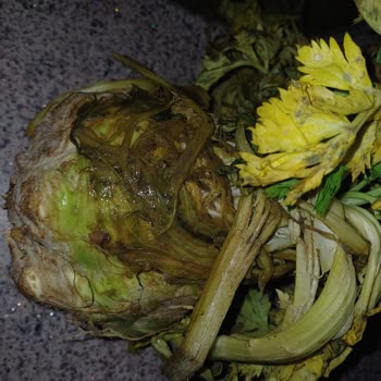 Kırıkkale Getir’den Gelen Kereviz Siparişinde 193 Gramlık Eksik Ve Çürük Ürün Şikayeti