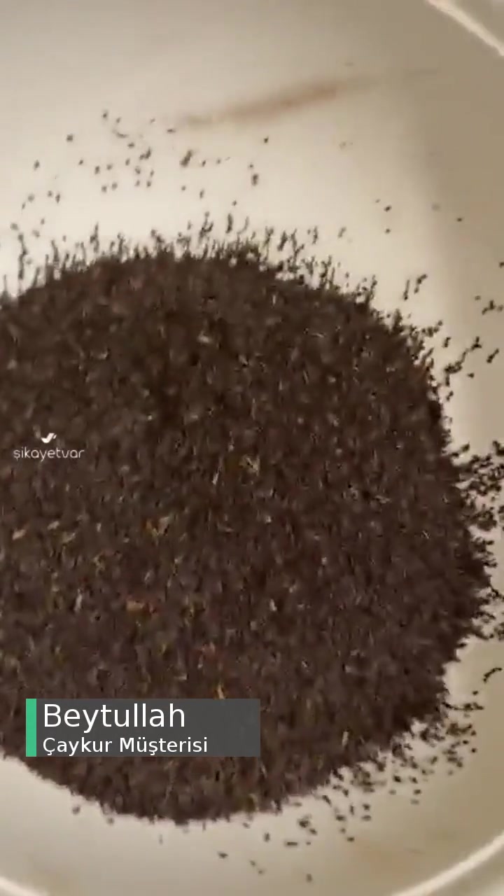 Çaykur Çaydan Çok Toz Satıyor Bu Nedir Ya Allah Aşkına videonun kapak resmi