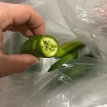 Getir Ve Mopaş Market'ten Gelen Salatalıkların Hijyen Sorunu Ve İade Talebi