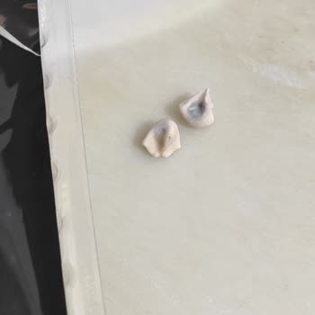 Başyazıcı Mantısında Küflenme Ve Sağlık Riski