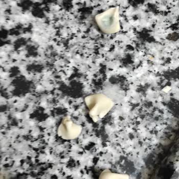 Başyazıcı Mantısında Küflenme Ve Sağlık Riski