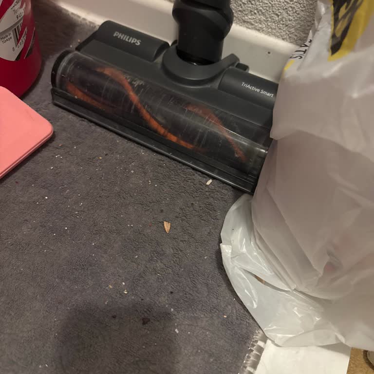 Philips 6000 Serisi Dikey Süpürge Kirleri Tekrar Yayma Sorunu