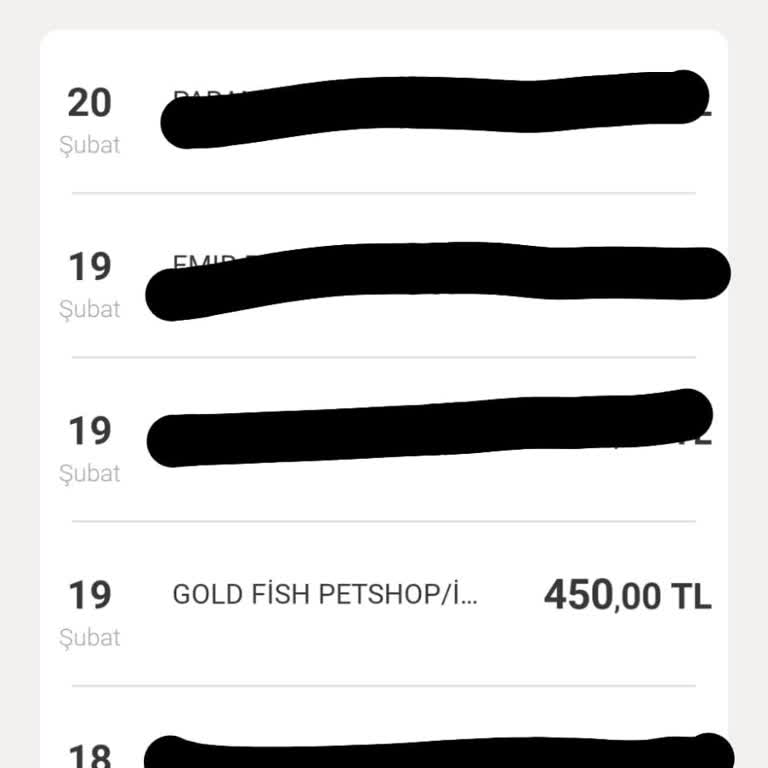 Goldfish Petshop Akvaryum Balıkların Hastalıklı Çıkması Ve Çalışanın Saygısız Davranışı