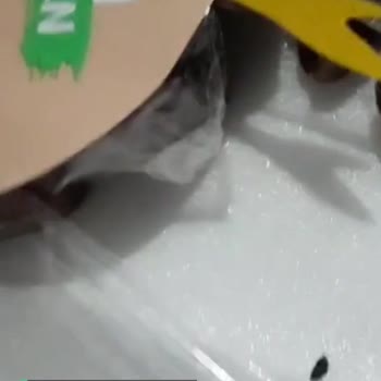A101 Çerezya Marka Tunus Hurmasının İçinden Çıkan!
