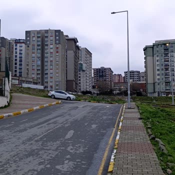 Esenyurt Okul Çevresinde Tehlikeli Köpek Sürüsü İçin Acil Müdahale Gerekiyor