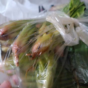 Trendyol GO’da Çoklu Siparişlerde Eksik, Bozuk Ve Yanlış Ürünler, İade Talepleri Reddedildi