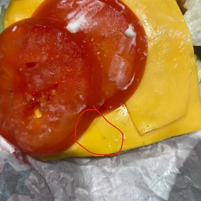 Hamburgerde Kıl Ve Kaba Personel: İade Ve Hijyen Şikayeti