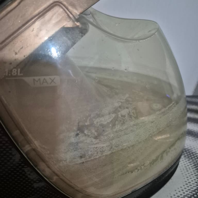 Philips Ütü Su Haznesindeki Yosunlanma Ve Açılmama Nedeniyle Ücretsiz Parça Değişimi Talebi