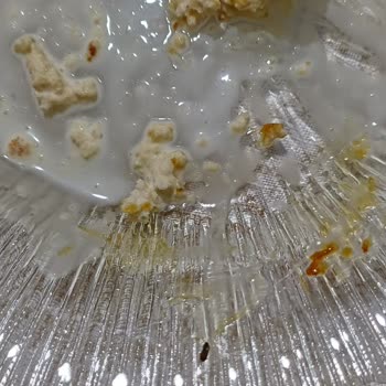 Trileçede Ölmüş Böcekler Tespiti Ve Yetersiz İade