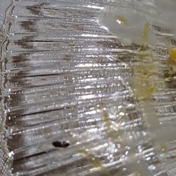 Trileçede Ölmüş Böcekler Tespiti Ve Yetersiz İade