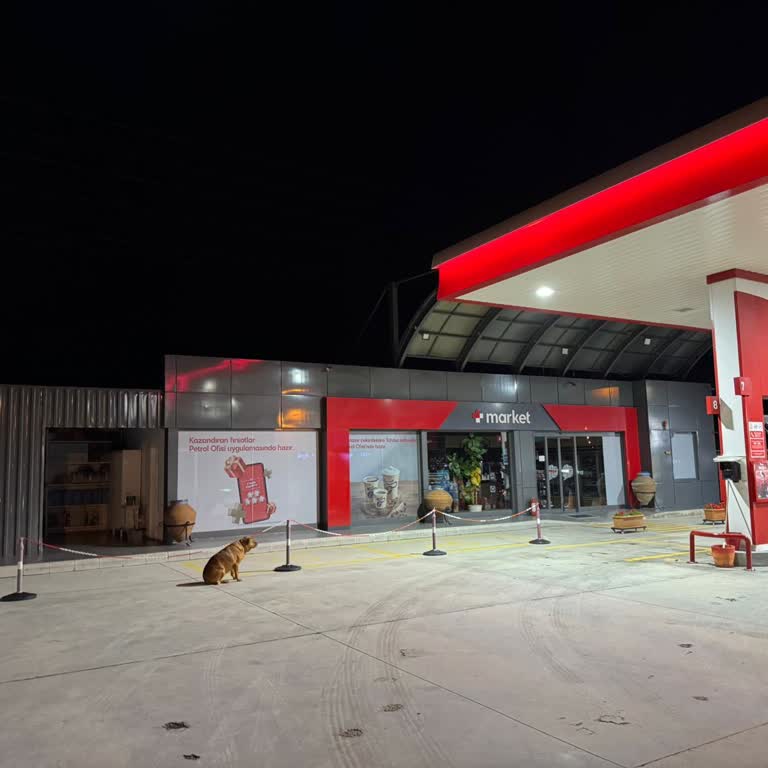 İzmir Mordoğan Yolundaki Petrol Ofisi Çalışanının Çocuğumuza Yönelik Bağırması Ve Saygısız Tutumu