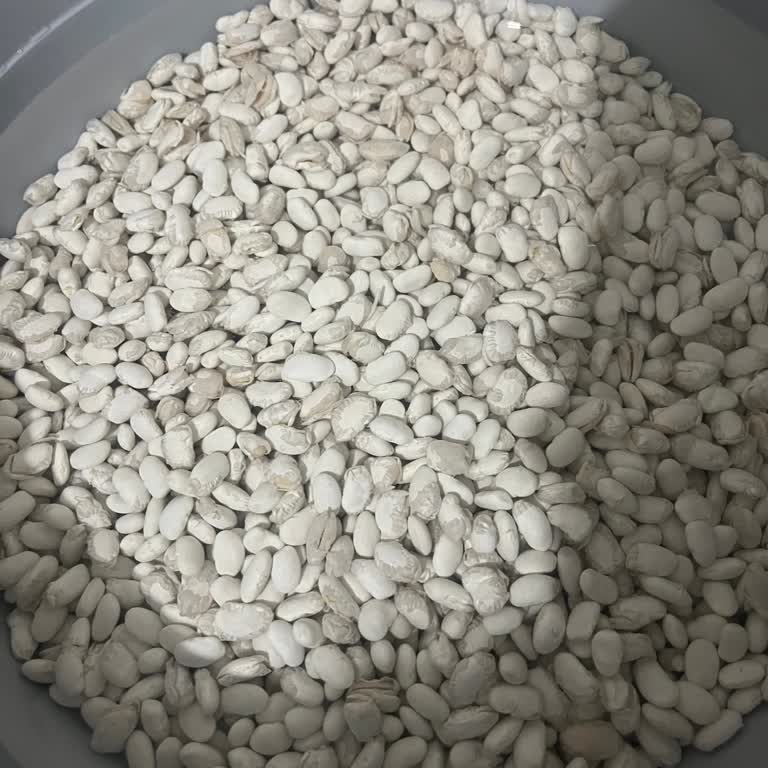 Duru Dermason Fasulyede Kırık Ve Soyulmuş Taneler, Kalite Standartları Aşağı