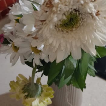 Teslim Edilmemiş Çiçek Siparişi Ve Çürük Buket, 1050 TL İade Talebi