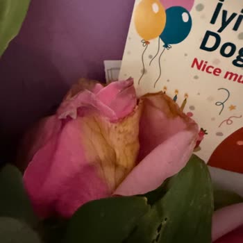 Teslim Edilmeyen Çiçek Ve İade Talebi