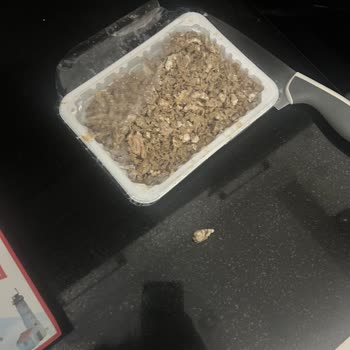 Şampiyon Kokoreç'te Kıl Bulunması: Hijyen Şikayeti Ve İade