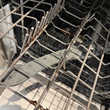 Teka Bulaşık Makinesinin İç Parçalarındaki Paslanma Ve Ücretsiz Parça Talebi