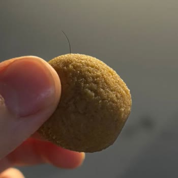 Pesotti Kedi Dili Kurabiyesinde Kıl Kontaminasyonu Ve Hijyen İhmali