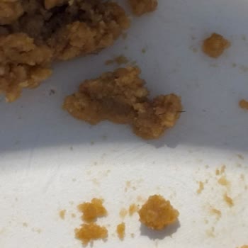 Pesotti Kedi Dili Kurabiyesinde Kıl Kontaminasyonu Ve Hijyen İhmali