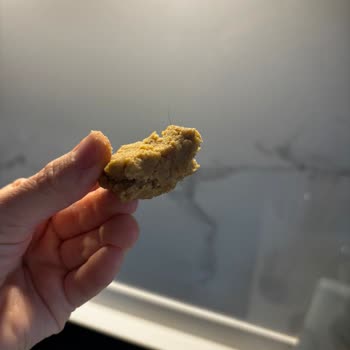 Pesotti Kedi Dili Kurabiyesinde Kıl Kontaminasyonu Ve Hijyen İhmali