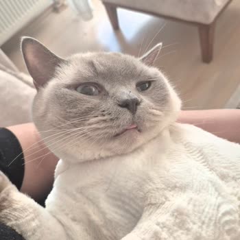 Kapaklı Elit Veterinerlik İşlem Sırasında Veya Sonrasında Bana Hiçbir Şekilde Bilgi Verilmedi