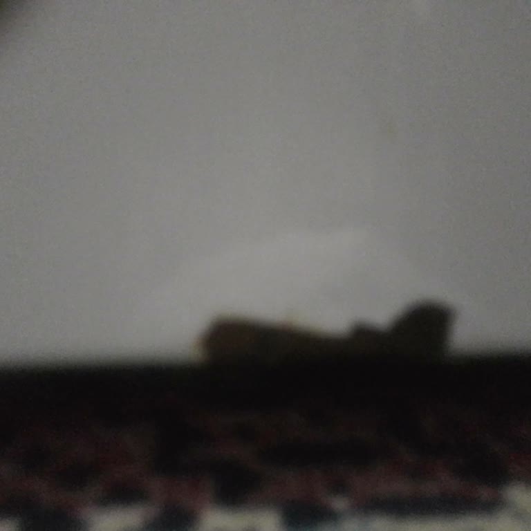 Profilo Çamaşır Makinesinin Ön Kapak Bölümünde Tekrarlayan Çürüme Sorunu