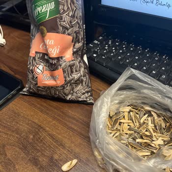 A101 Çerezya Çekirdeğinde Kurumuş Kurt Bulundu