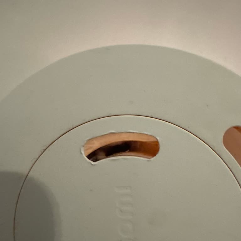 Xiaomi Humidifier 2 Ürününde Küf Ve Mantar Sorunu Nedeniyle İade Talebi