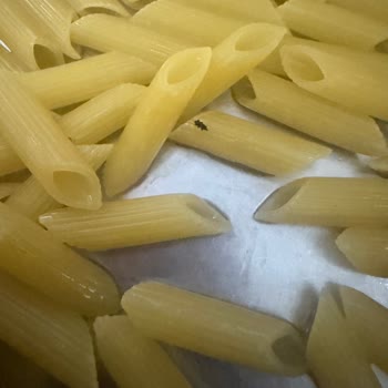 Veronelli Makarna İçinde Böcek: Gıda Güvenliği İhlali