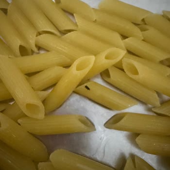 Veronelli Makarna İçinde Böcek: Gıda Güvenliği İhlali