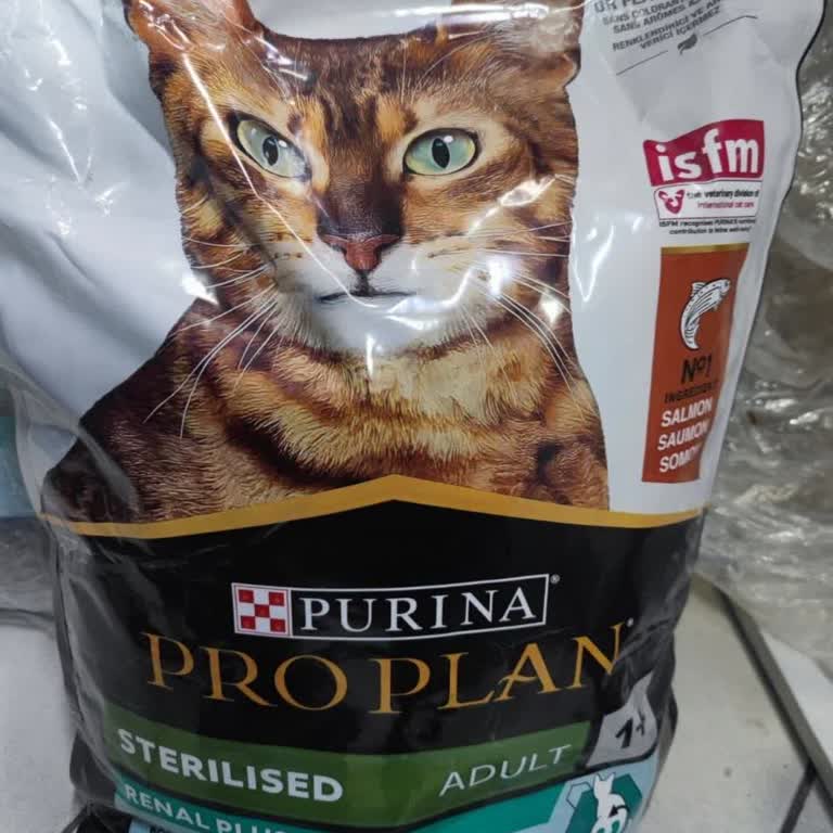 Şüpheli İçerikli Kedi Maması Ve Satıcıdan Fatura Yokluğu Nedeniyle İade İsteği