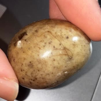 Migros’tan Alınan Donmuş Çilek Dragee’de Saç Görülmesi