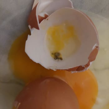 Happy Center Şirinevler'den Bozuk Yumurta: Siyah Lekeli Ve Hijyen Sorunu