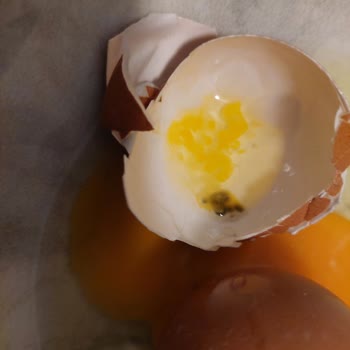 Happy Center Şirinevler'den Bozuk Yumurta: Siyah Lekeli Ve Hijyen Sorunu