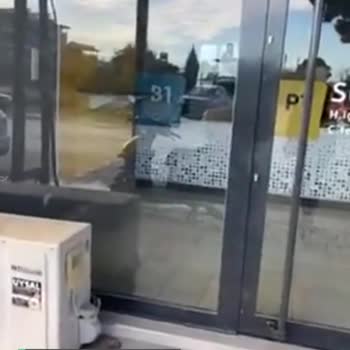 PTT Kargo Hizmet Göremiyoruz, İşlemimizi Gerçekleştiremiyoruz!